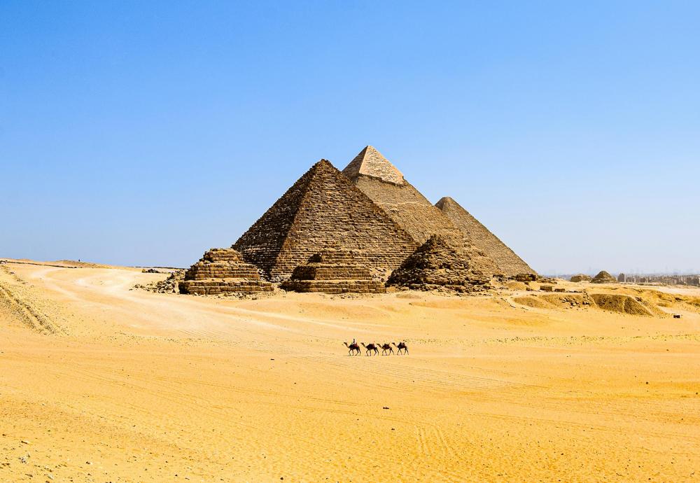 Camel pyramids