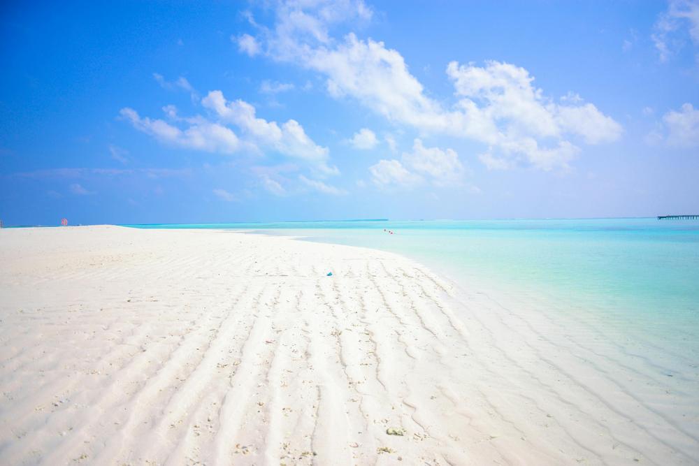 Tropical beach-8c72020fe829499dbca18feec12ed1b9.jpg Tropical beach