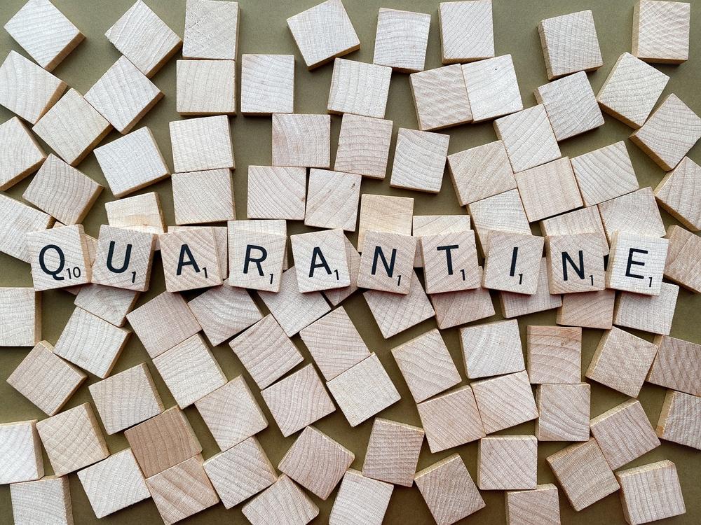no quarantine-91e9ace42f114ad58f990ba2bddebbbb.jpg no quarantine